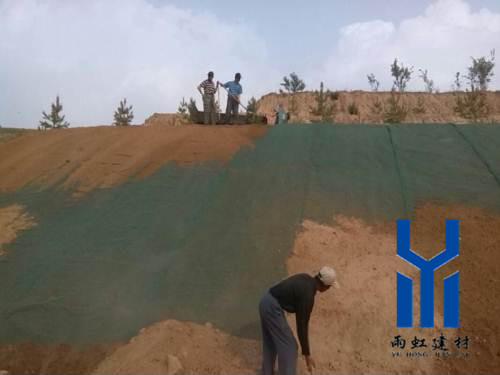 三維植被網(wǎng)http://www.usashop.cn/